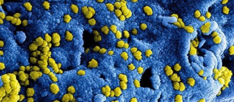 Coronavirus developments